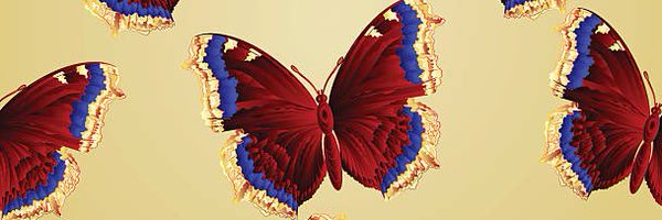 debbiedeb0naire Profile Banner