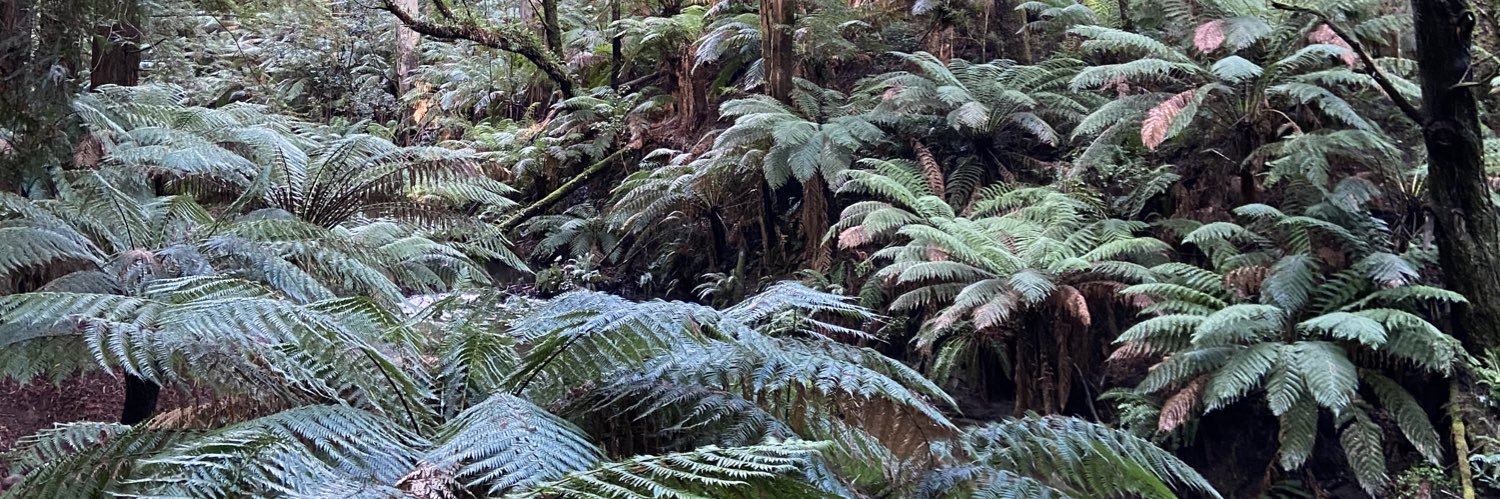 Cameron Tasker banner