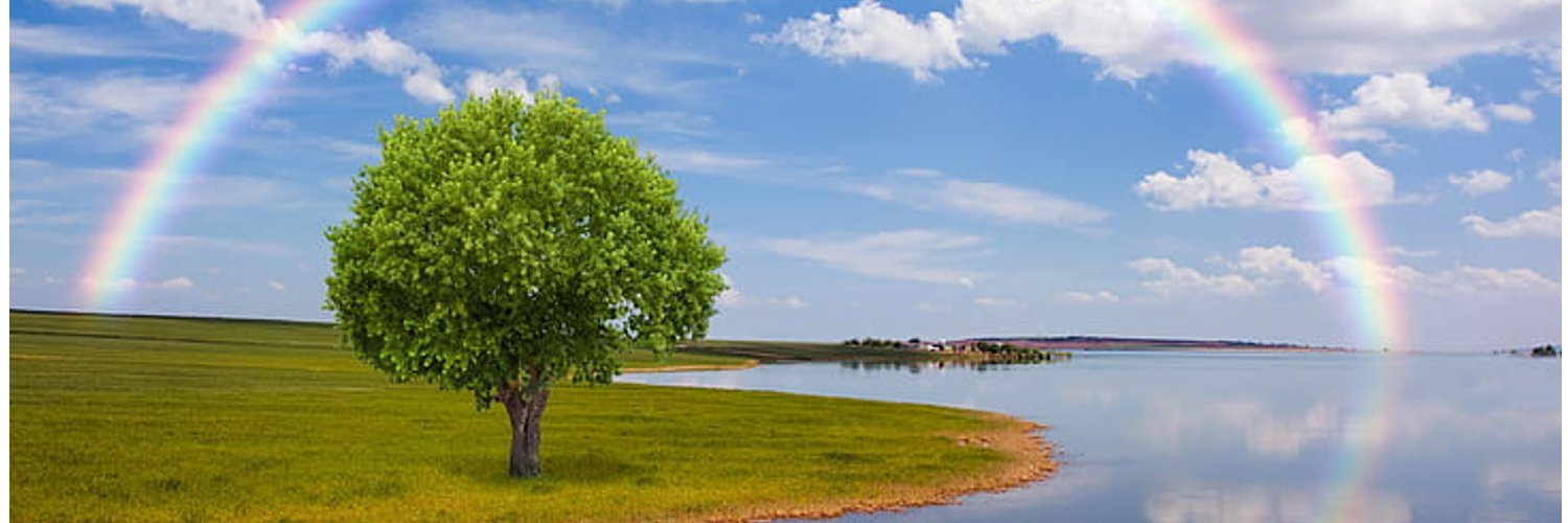 marluzza's profile banner image