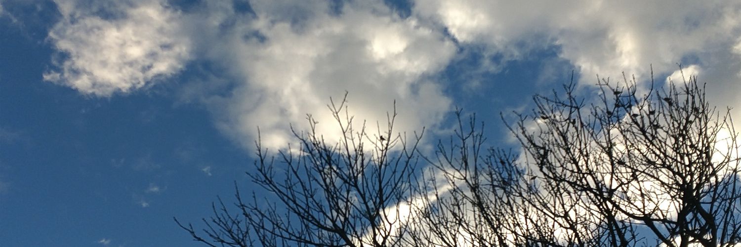 retsuki218's profile banner image