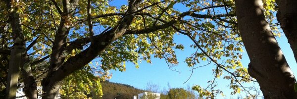 BlaenbaglanPrim Profile Banner