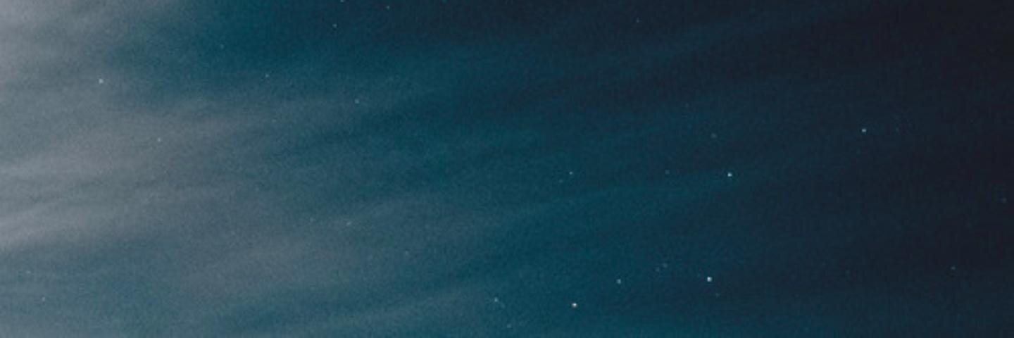 chris nenadić banner