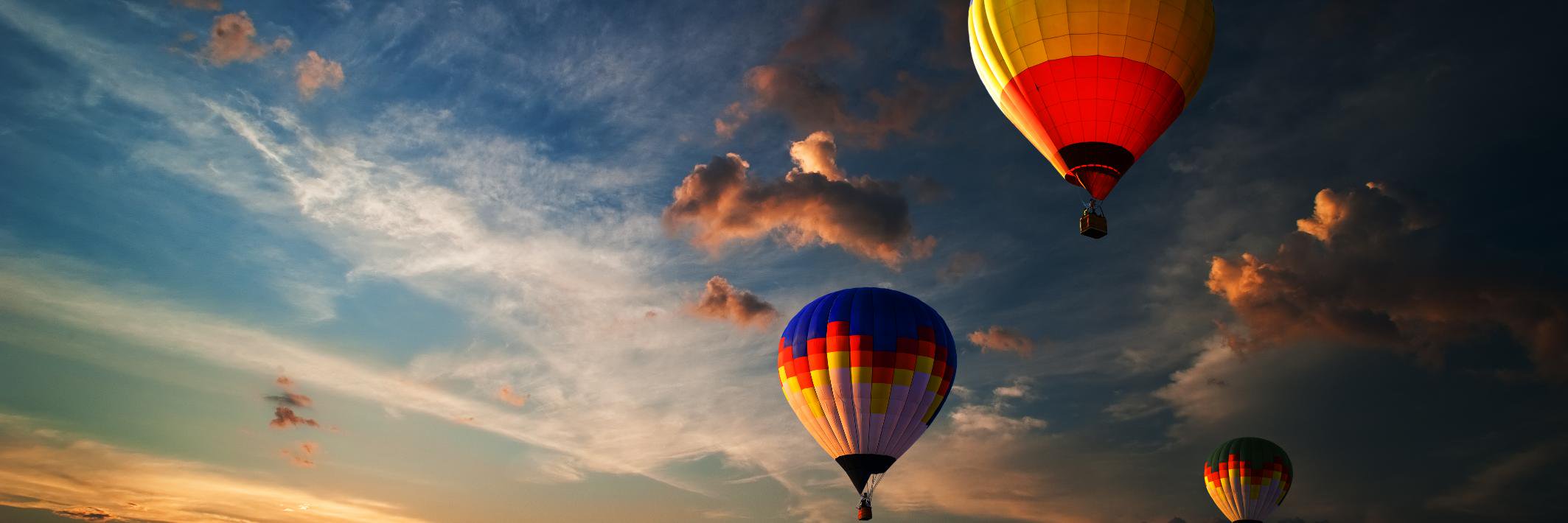 Peter O'Connell banner