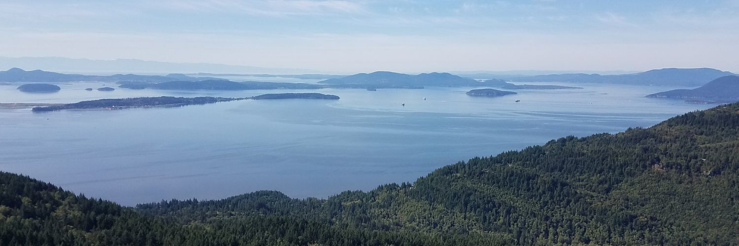 flyawaysusie's profile banner image