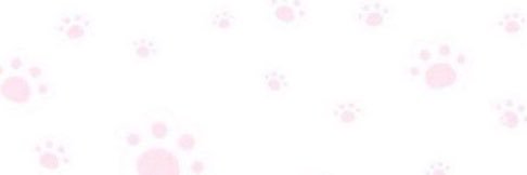 collaredbambi's profile banner image