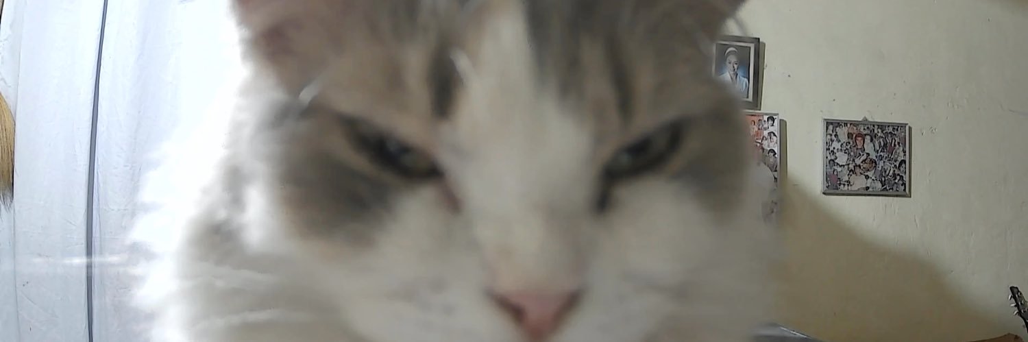 imkrislynsy's profile banner image