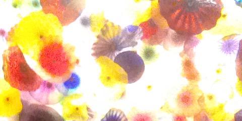 grokey's profile banner image