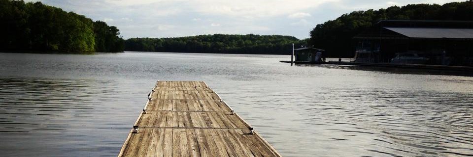 Hannah_TBV's profile banner image