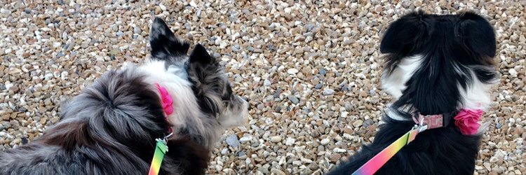 eilishjones_x's profile banner image