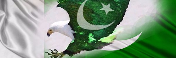 pakistanprobe Profile Banner