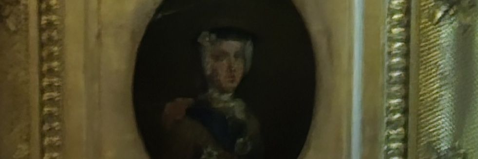 tulliplover's profile banner image