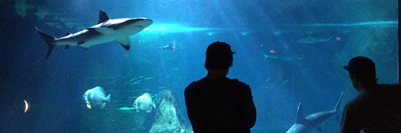 Anders Ruud Fosnæs banner