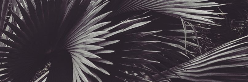 markpernice's profile banner image