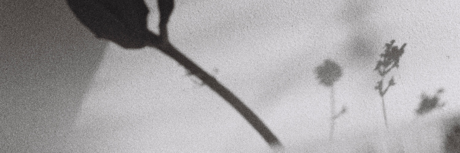 Alex Kozobolis banner