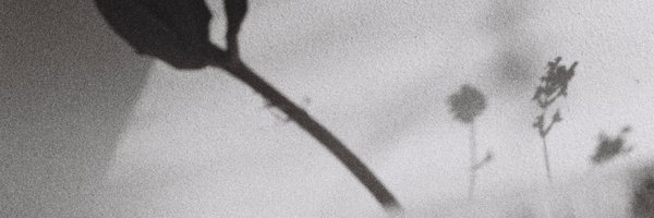 alex_kozobolis Profile Banner