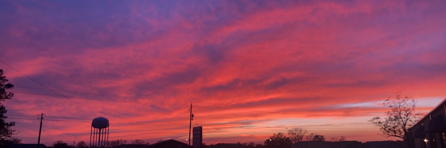 lynsbrooke's profile banner image