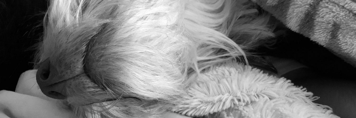 Botellademar's profile banner image