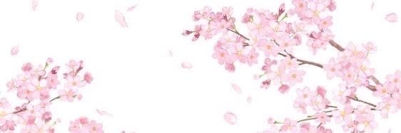Lunahybs's profile banner image