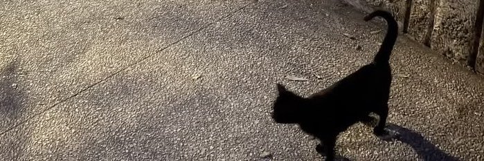 wopfies's profile banner image