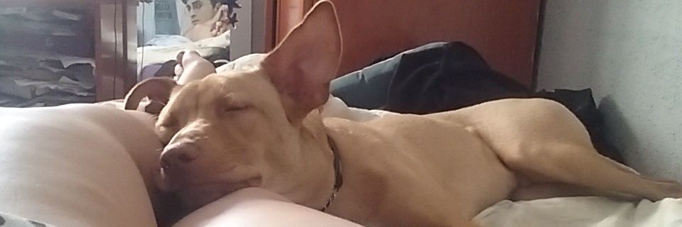 AndreaFilth's profile banner image