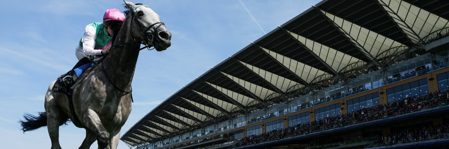 Will Aitkenhead banner