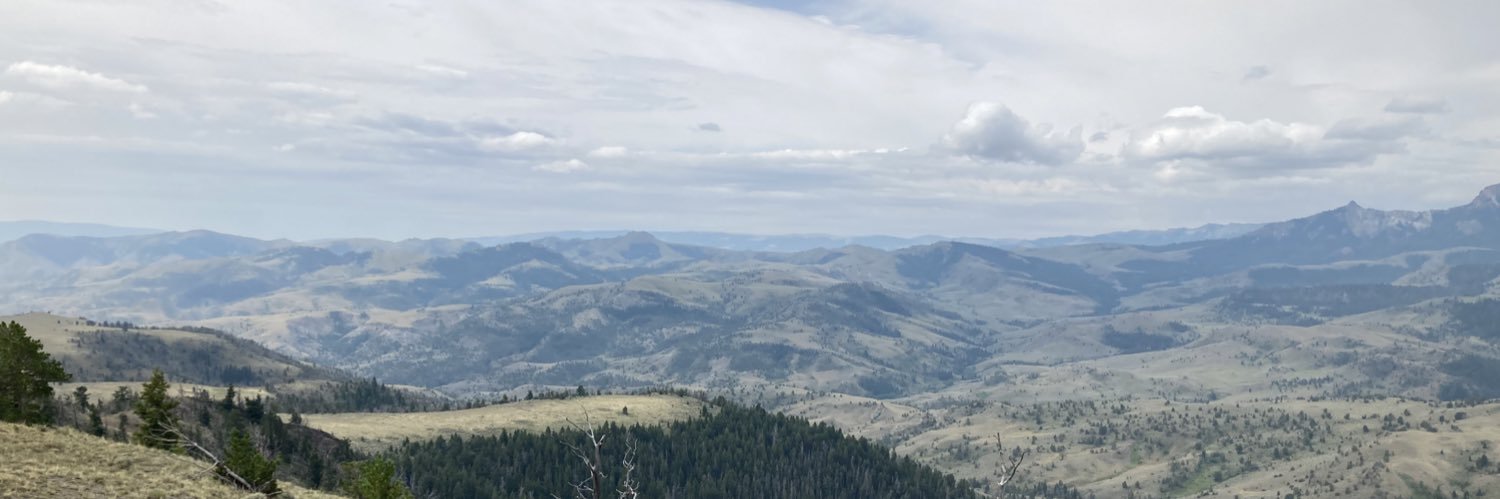 Ingrid Lundeen banner