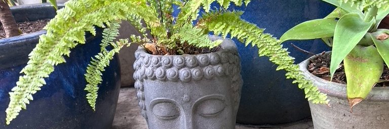 MayaSoFlya ❤️🇺🇸❤️ banner