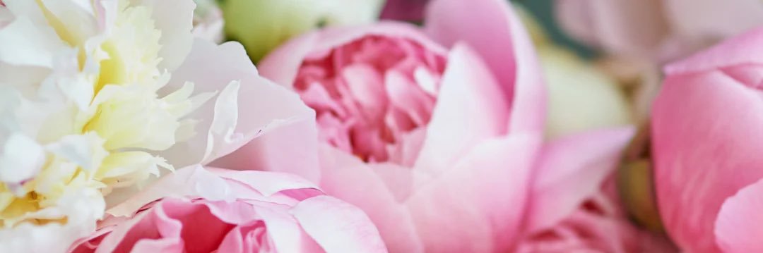 niccidelaney's profile banner image