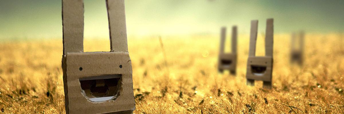 Daniel Cardoso banner