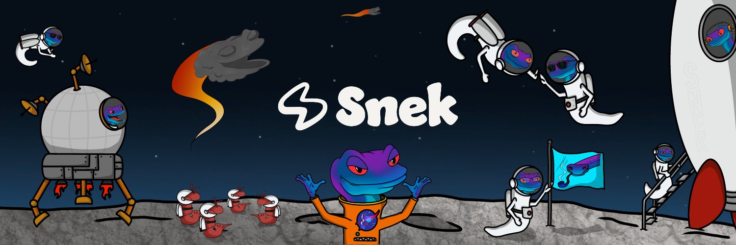 snekcoinada's profile banner image