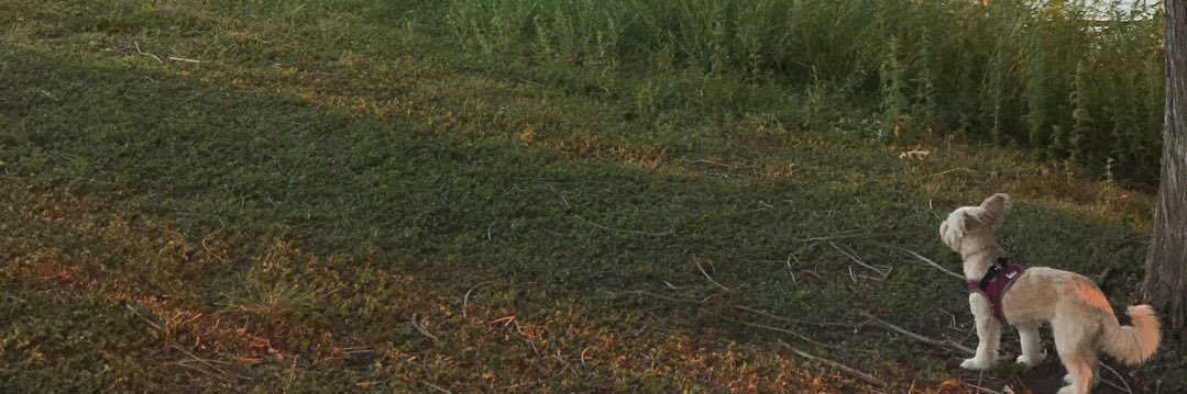MrPX25's profile banner image