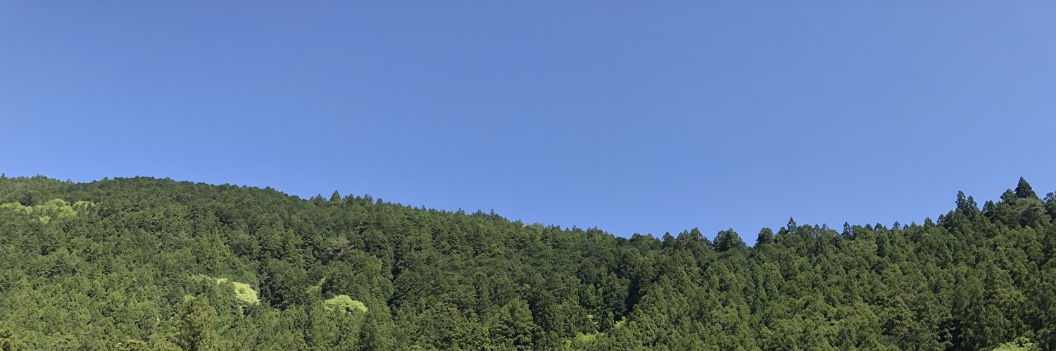 g8n610's profile banner image