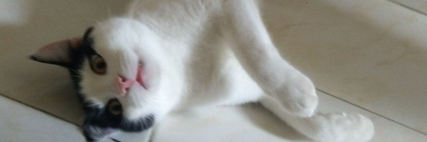 LuziPaty's profile banner image