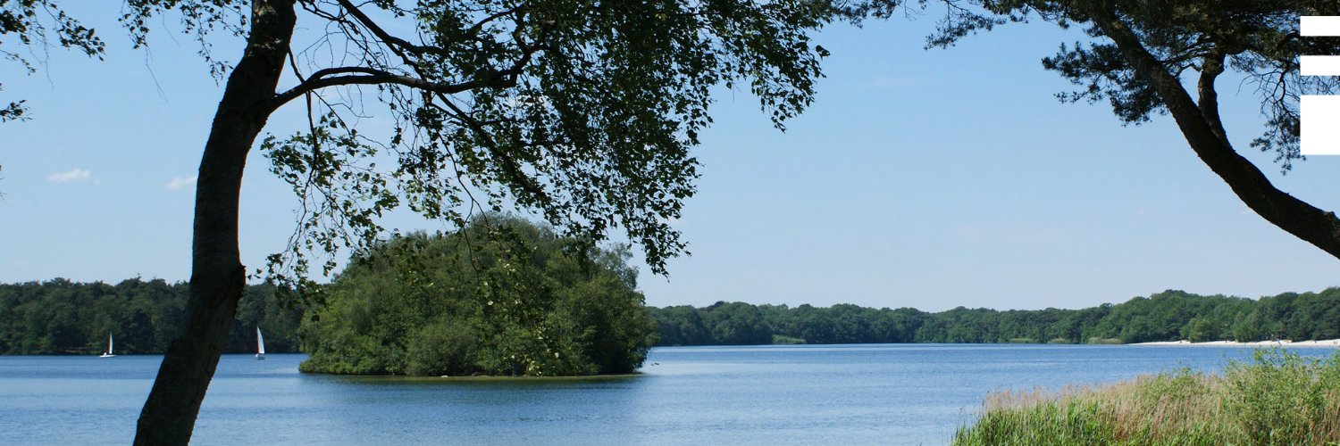 marc ruis banner
