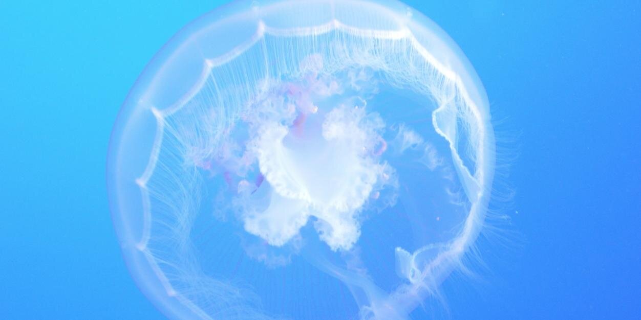 adambabik's profile banner image