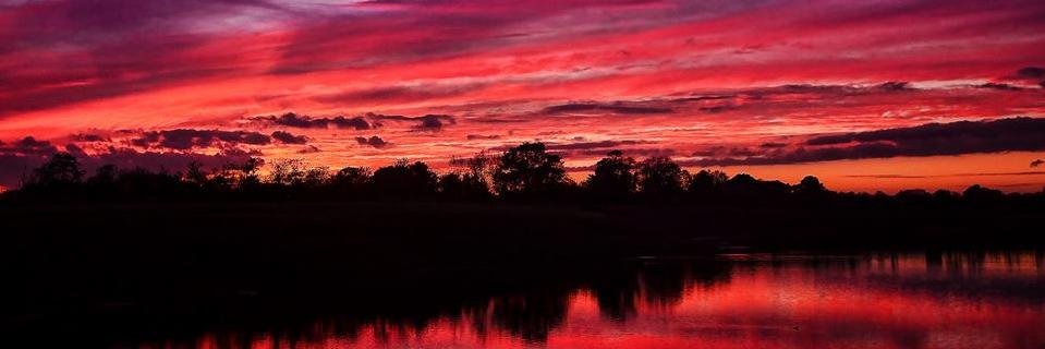 SofiAimino's profile banner image