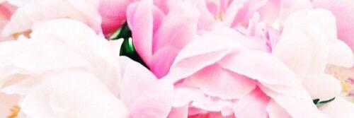 Angieesms's profile banner image