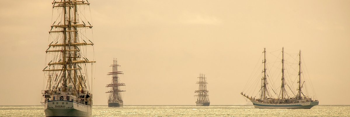 Pinshtain's profile banner image