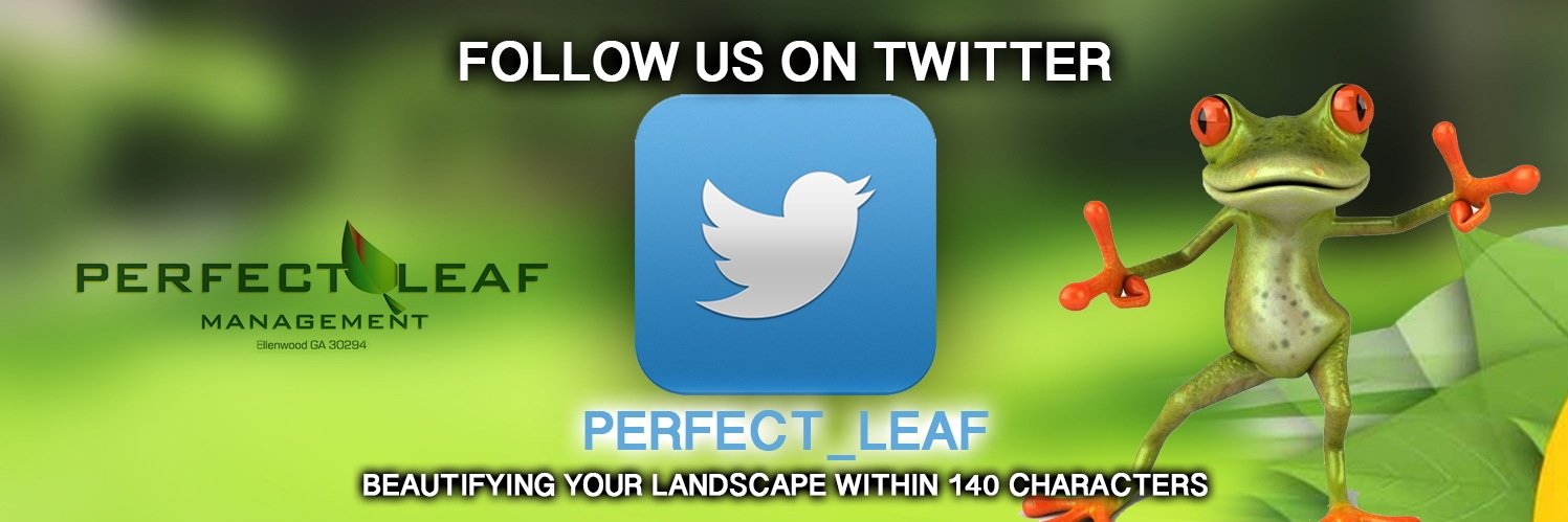 Perfect_leaf's profile banner image