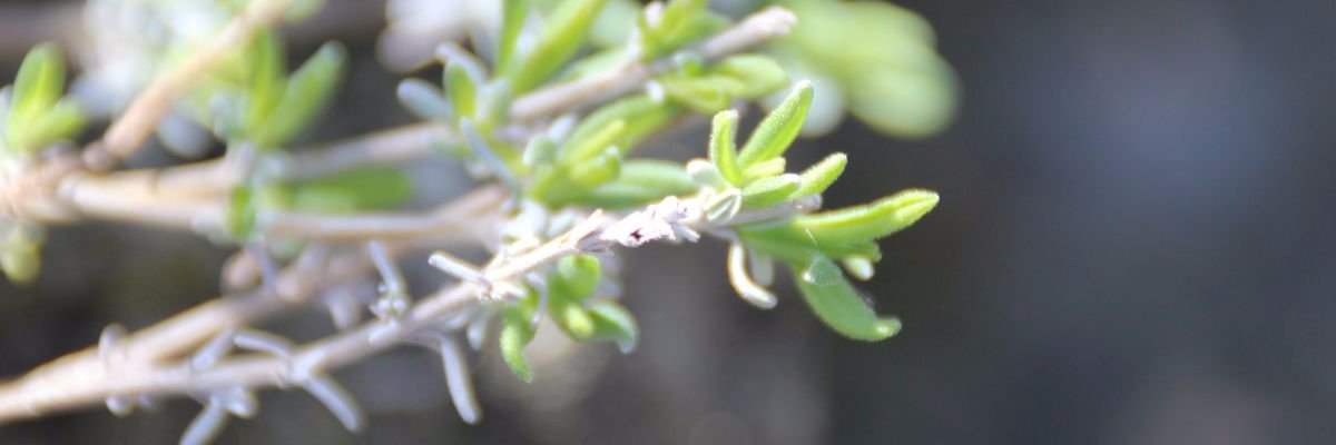 Mark1330's profile banner image