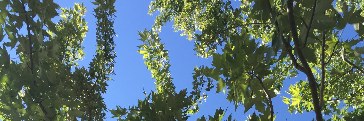 joim's profile banner image