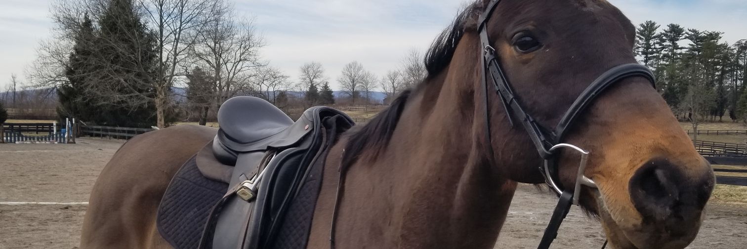 flippinfilip's profile banner image