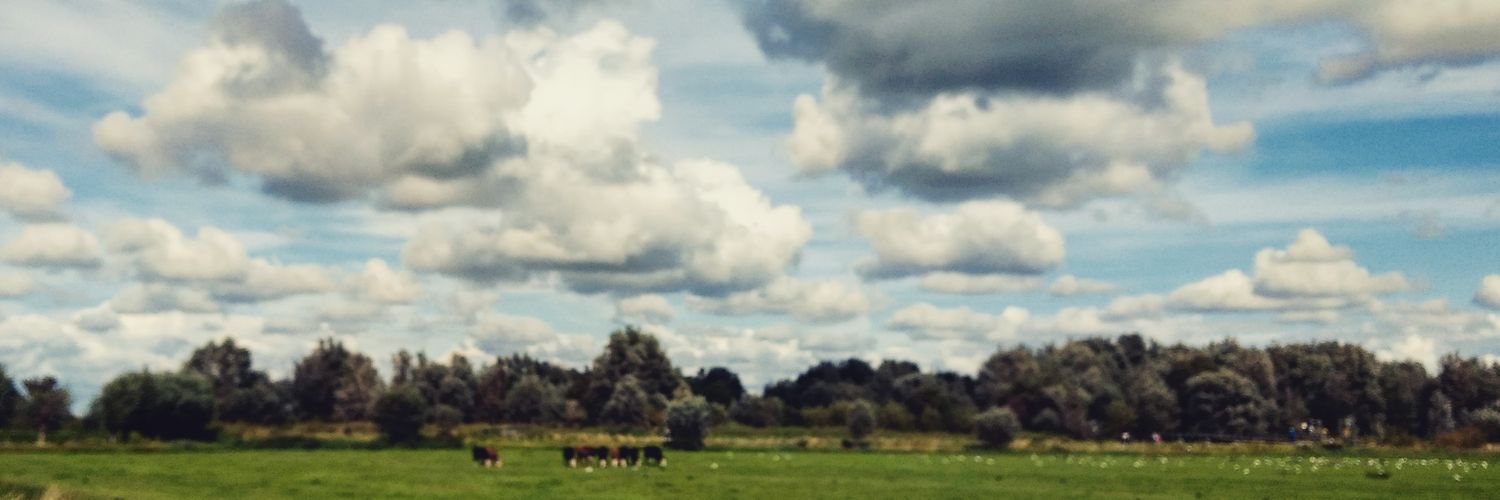 boudje's profile banner image