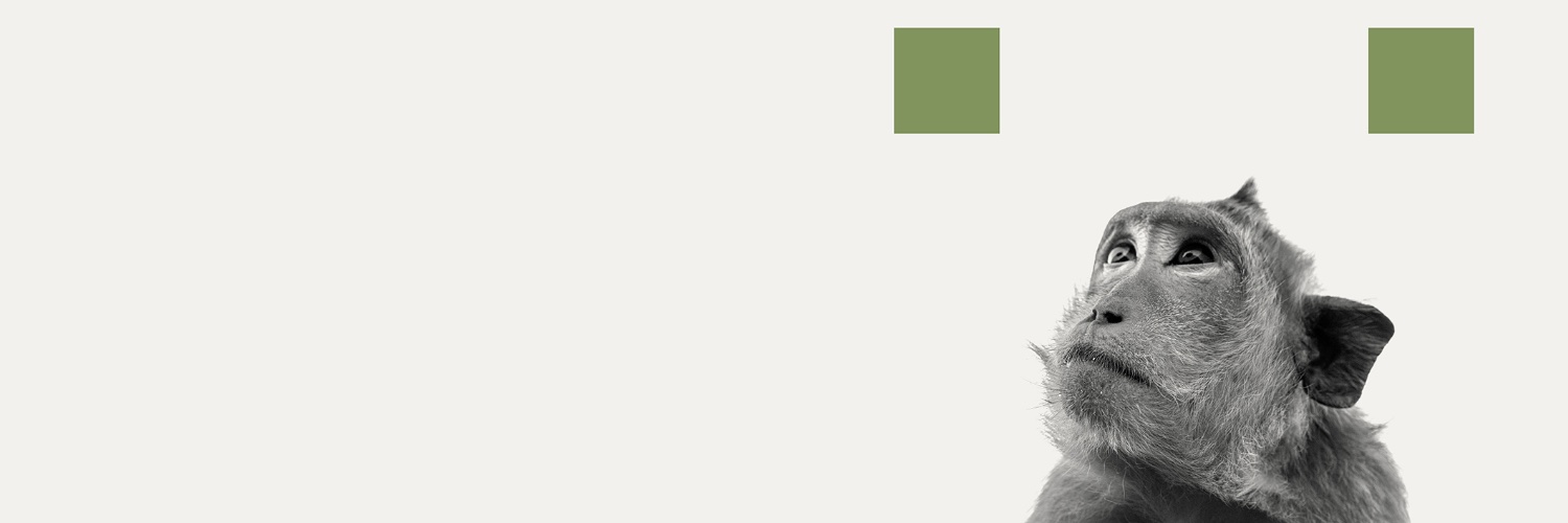 ZPosadaBaynham's profile banner image