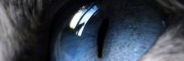 CA_blue777's profile banner image
