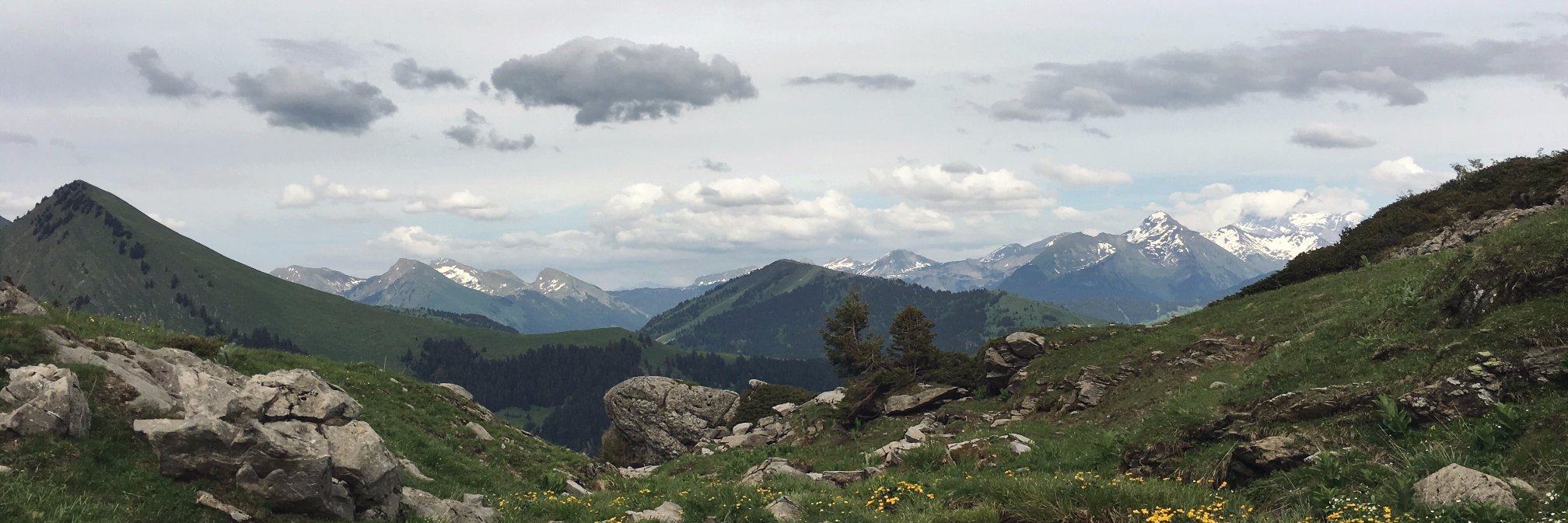 kimboklaer's profile banner image