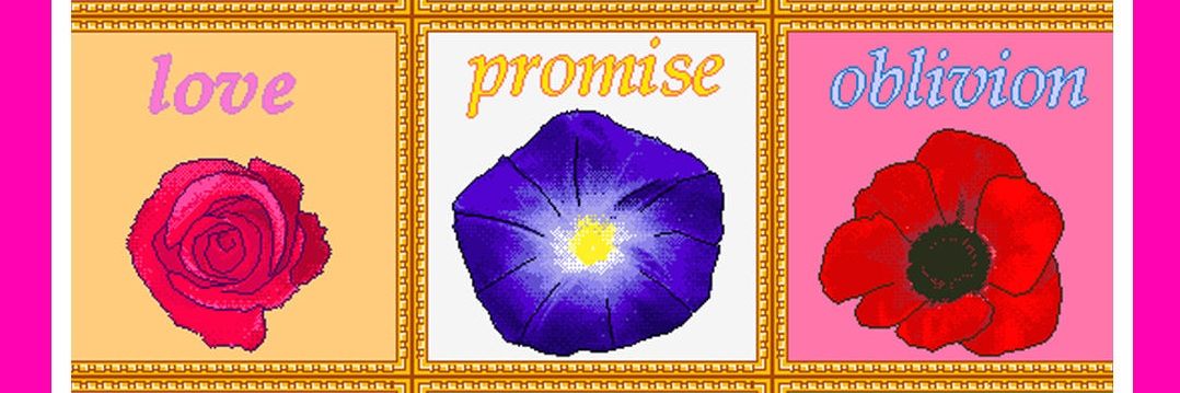 honey lavender lad banner