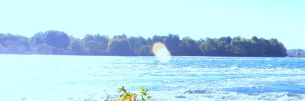 tablamontreal Profile Banner