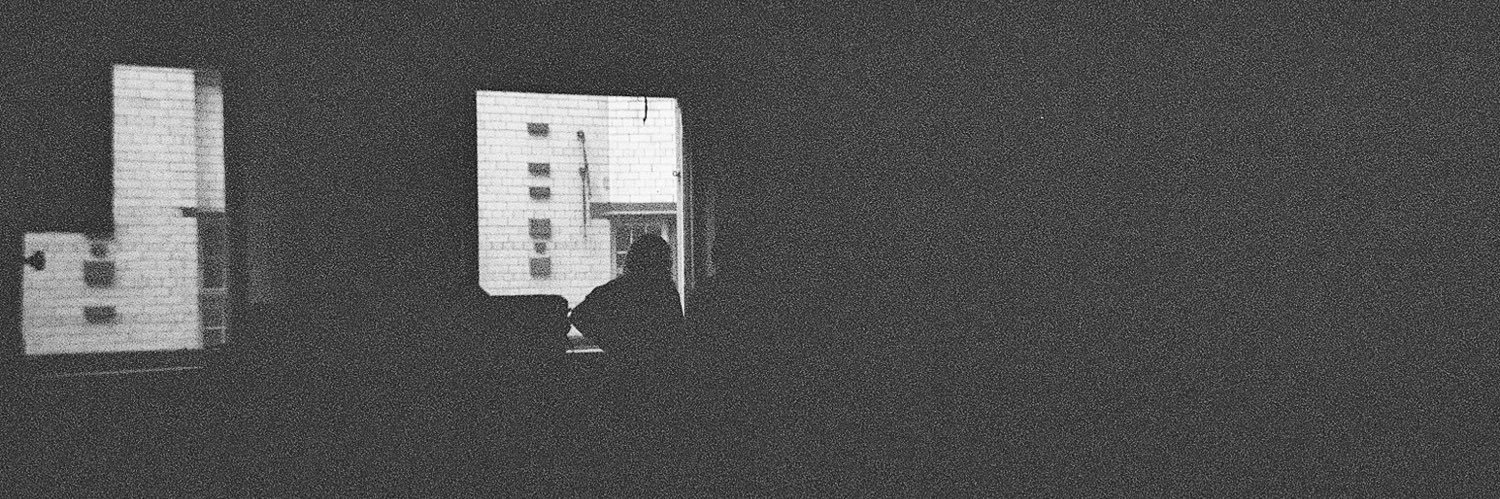 lizziereidmusic's profile banner image