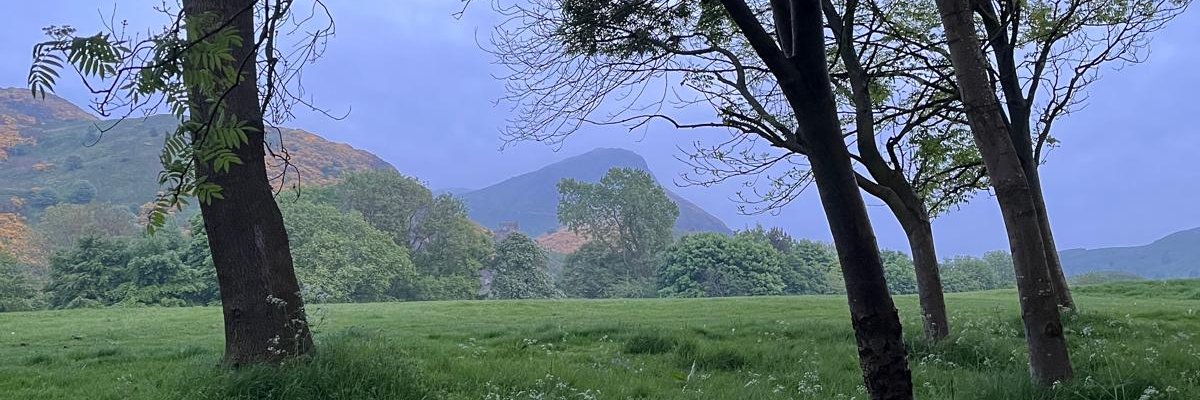 Dr Claire Methven O'Brien banner